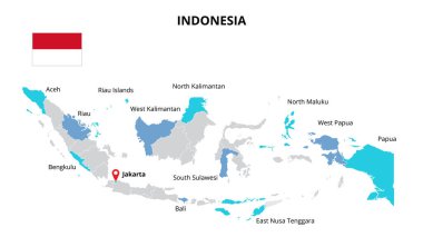 Endonezya vektör haritası bilgi şablonu eyaletlere, bölgelere ya da illere bölünmüştür. Slayt sunumu