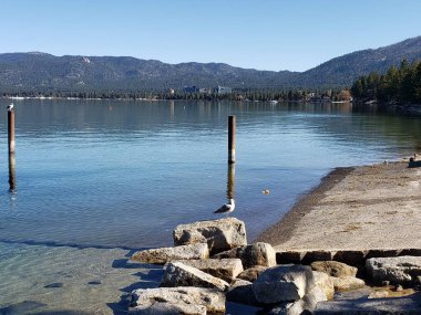 manzara, doğa, açık hava, manzara