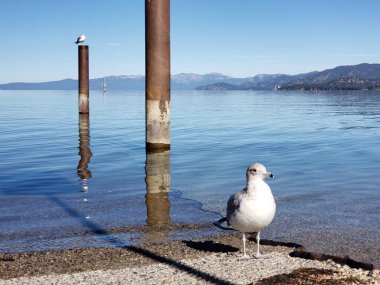 manzara, doğa, açık hava, manzara