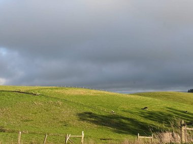 manzara, doğa, açık hava, manzara