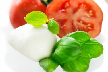 Mozzarella ve domates beyaz arka plan üzerinde