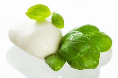 Mozzarella ve domates beyaz arka plan üzerinde
