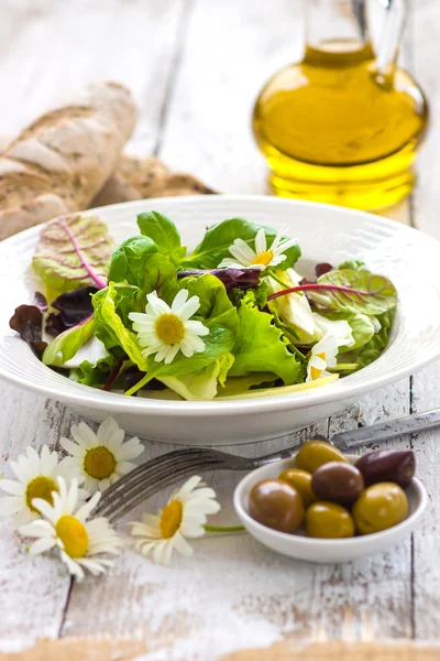 Yaz yaprak salata ahşap arka plan üzerinde