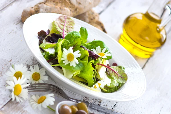 Ensalada de hojas de verano sobre fondo de madera — Foto de Stock