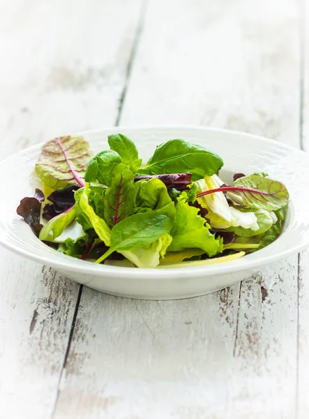 Summer leaf salad on a wooden background — Stock Photo, Image