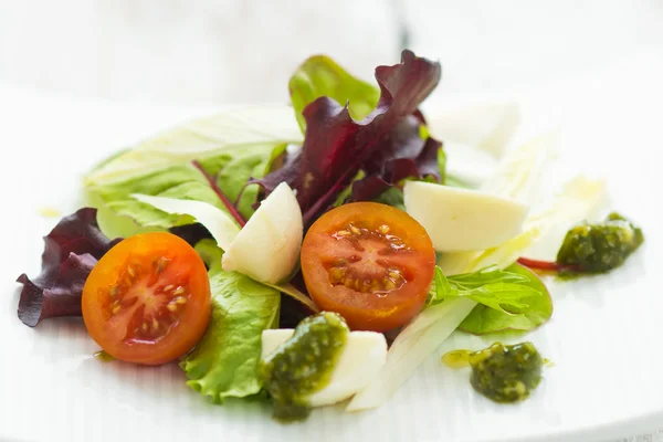 Summer leaf salad on a wooden background — Stock Photo, Image