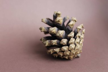 Kahverengi arka planda çam kozalağı