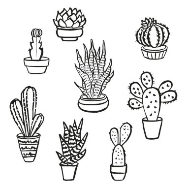 Kaktüs ve sulu kaktüs vektör seti çıkartmalar ve simgeler