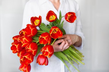 Güzel bir kızın elinde kırmızı lale buketi