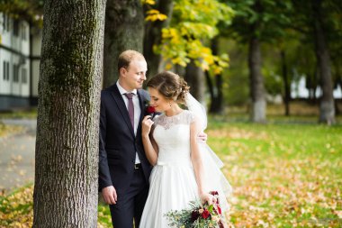 Güzel gelin ve damat güneşli bir parkta