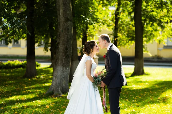 Gyönyörű menyasszony és a vőlegény a parkban, egy napsütéses napon — Stock Fotó