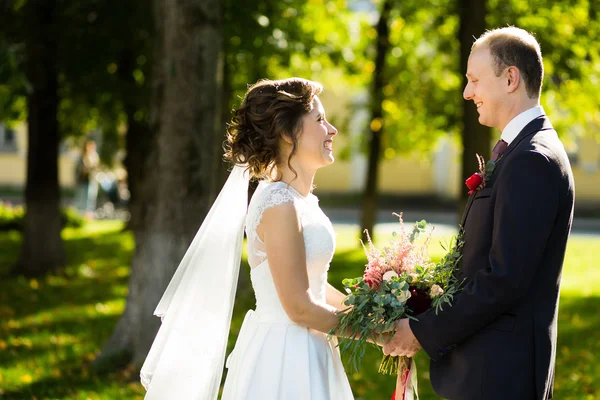 Bellissimi sposi nel parco in una giornata di sole — Foto Stock