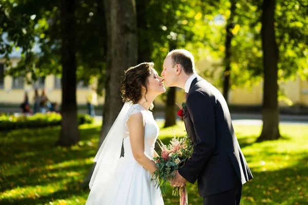 Gyönyörű menyasszony és a vőlegény a parkban, egy napsütéses napon — Stock Fotó