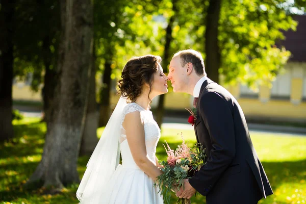 Güzel gelin ve damat güneşli bir parkta — Stok fotoğraf