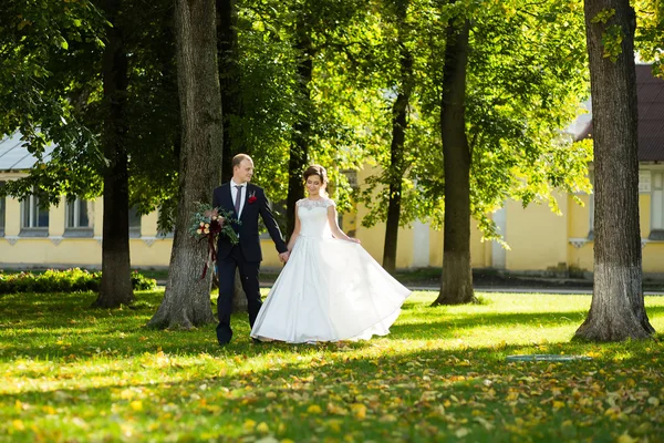 Beautiful bride and groom in the park on a sunny day — Stock Photo, Image