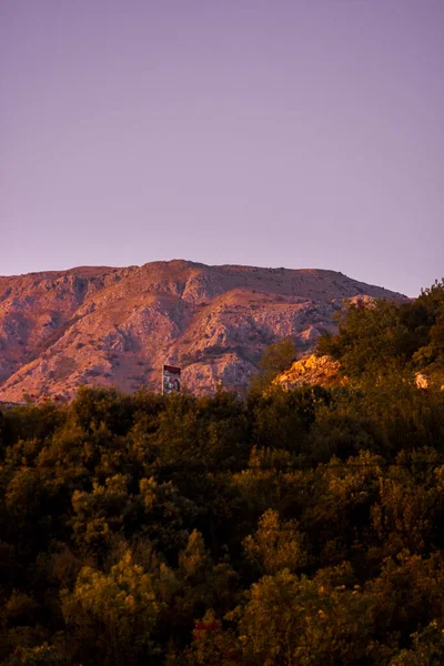 Pink mountain background above green trees