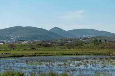 Arka planda dağlar olan yeşil çimlerle çevrili küçük bir göl.