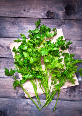 Taze maydanoz bağlı