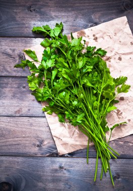 Taze maydanoz bağlı