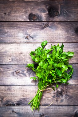 Taze maydanoz bağlı