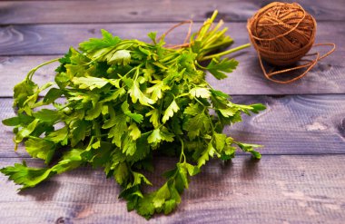 Taze maydanoz bağlı