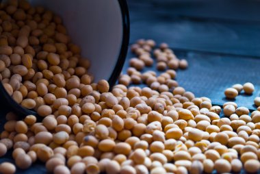 Soya fasulyesi metal Kupası