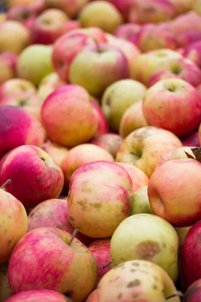 Manzanas — Foto de Stock