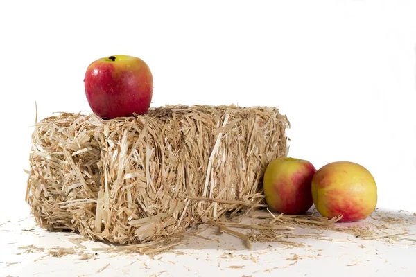 Manzanas sobre una paca de heno — Foto de Stock