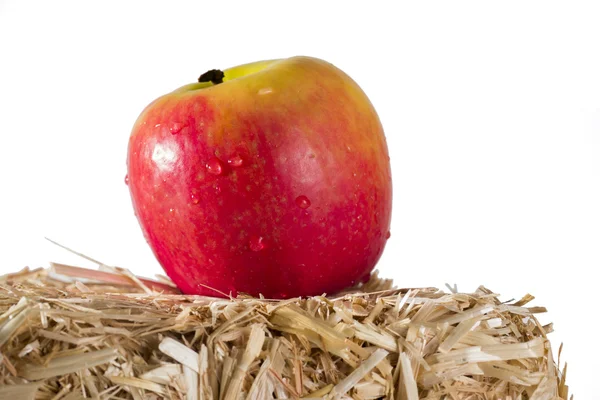 Bir balya saman üzerinde oturan elma