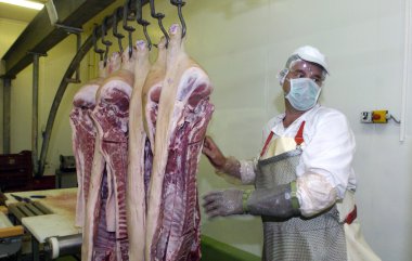Mezbahada çalışan işçiler buzdolabı, 14 Haziran 2006 et fabrikasında, Sofia, Bulgaristan.