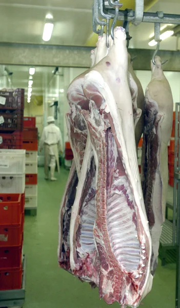 Trabajadores del matadero en el refrigerador, 14 de junio de 2006 en una fábrica de carne, Sofía, Bulgaria . — Foto de Stock