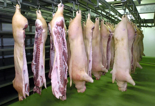 Trabajadores del matadero en el refrigerador, 14 de junio de 2006 en una fábrica de carne, Sofía, Bulgaria . — Foto de Stock