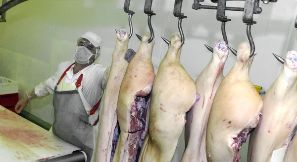 Trabajadores del matadero en el refrigerador, 14 de junio de 2006 en una fábrica de carne, Sofía, Bulgaria . — Foto de Stock