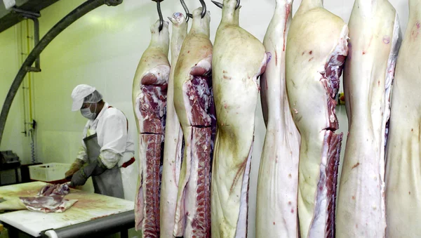 Trabajadores del matadero en el refrigerador, 14 de junio de 2006 en una fábrica de carne, Sofía, Bulgaria . — Foto de Stock