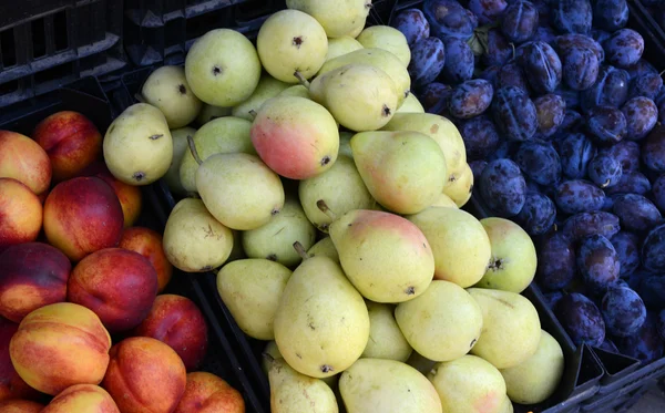 Fresh fruits — Stock Photo, Image