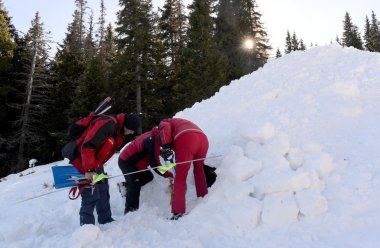 Rescuer and his service dog at Mountain Rescue Service at Bulgarian Red Cross is rescuing a buried by an avalanche tourist in a training course, Vitosha mountains, Bulgaria, January 28, 2016. clipart