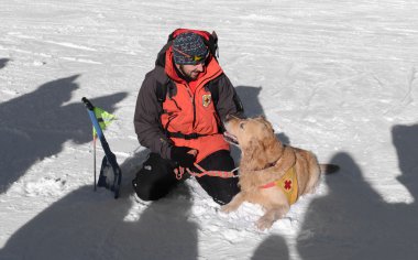 Rescuer and his service dog at Mountain Rescue Service at Bulgarian Red Cross is rescuing a buried by an avalanche tourist in a training course, Vitosha mountains, Bulgaria, January 28, 2016. clipart