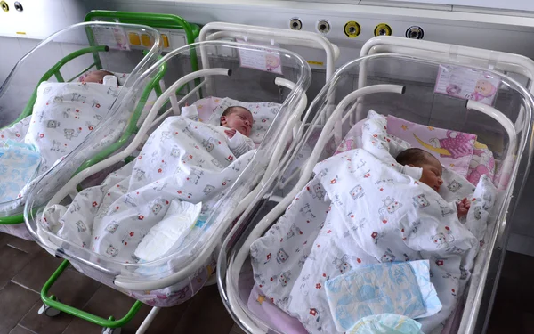 Sofia, Bulgaria - January 8, 2016: Unidentified new born babies in maternity hospital in Sofia