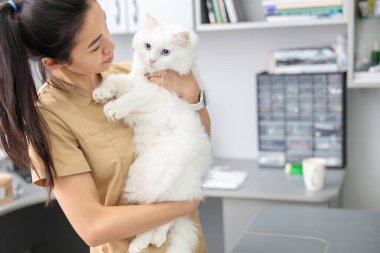 Kendine güvenen Asyalı doktor modern veteriner kliniğinde bir kediye sarılıyor.