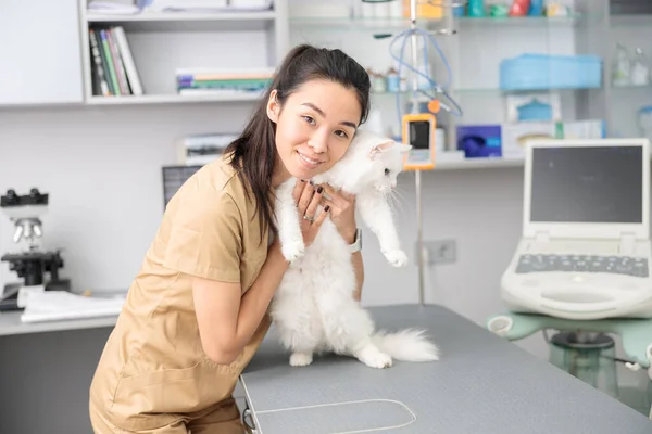 Säker Asiatisk Läkare Kramar Katt Modern Veterinärklinik — Stockfoto
