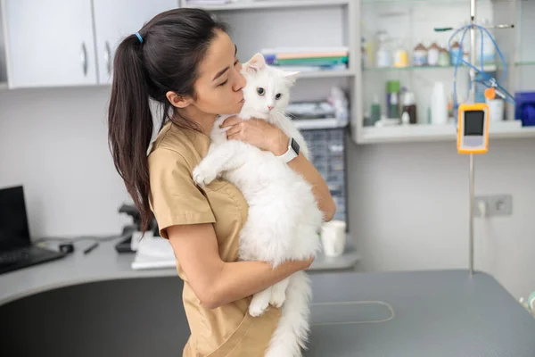 confident asian doctor hugs a cat in modern veterinary clinic