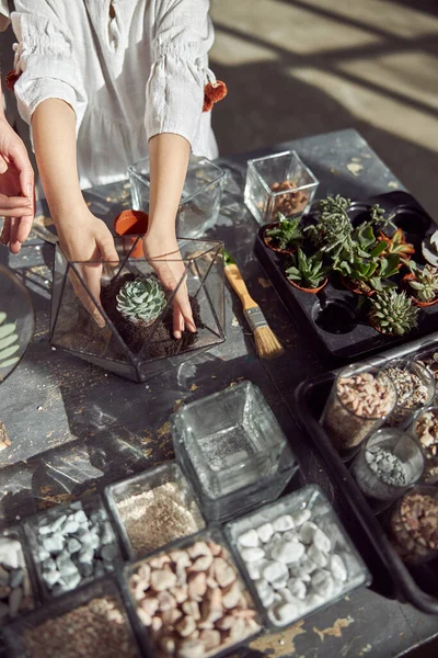 젊고 행복 한 코카서스 소녀는 식물학 상점에서 식물을 손에 쥐고 있습니다. — 스톡 사진