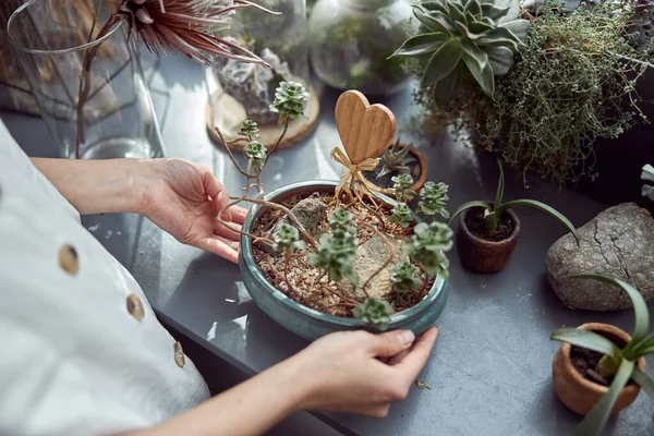 Floristería feliz seguro de caucásico está trabajando con composición hecha de piedras de vidrio y plantas en la tienda botánica — Foto de Stock