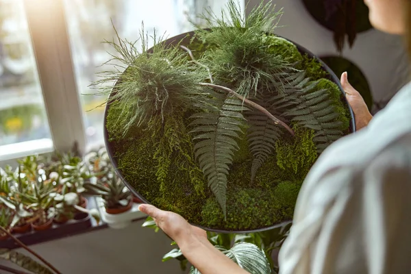 Bloemist winkel met verschillende soorten gedroogde bloemen — Stockfoto