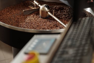 Kahve işleniyor. Roastery, kızartma makinesi ve taze fasulye.