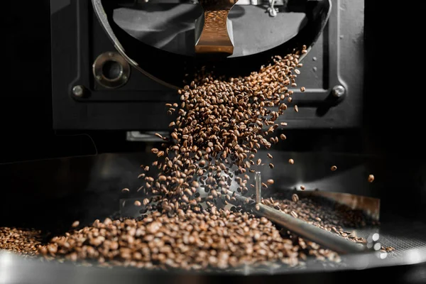 Coffee processing. Roastery, roasting machine and fresh beans