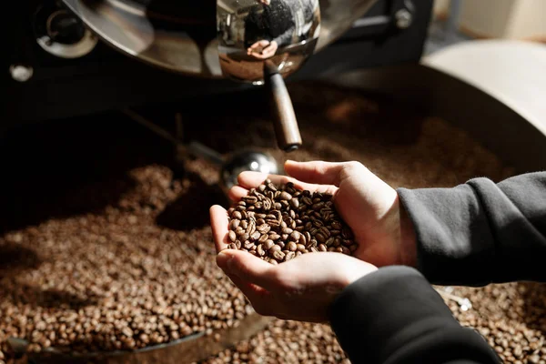 Junge Fachkraft röstet Kaffee im Hangar — Stockfoto