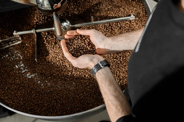 Coffee processing. Roastery, roasting machine and fresh beans