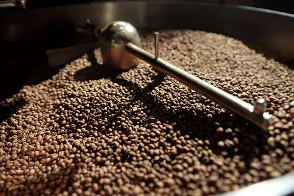 Coffee processing. Roastery, roasting machine and fresh beans