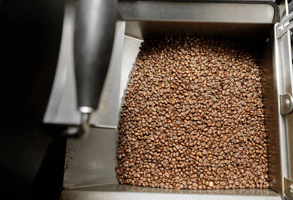 Coffee processing. Roastery, roasting machine and fresh beans